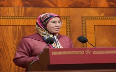 قدمت السيدة نزهة الوفي، الوزيرة المنتدبة المكلفة بالمغاربة المقيمين بالخارج، مجموعة من مشاريع القوانين يوافق بموجبها على اتفاقيات دولية اليوم الثلاثاء  21 أبريل بمجلس النواب